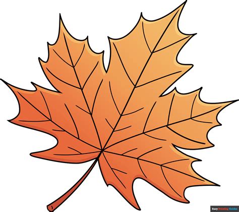 maple leaf drawing